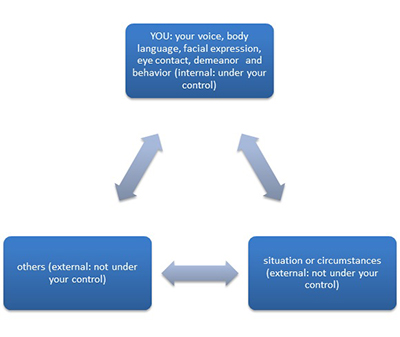 Figure-3-Interaction-of-Internal-and-External-Variables-400.jpg